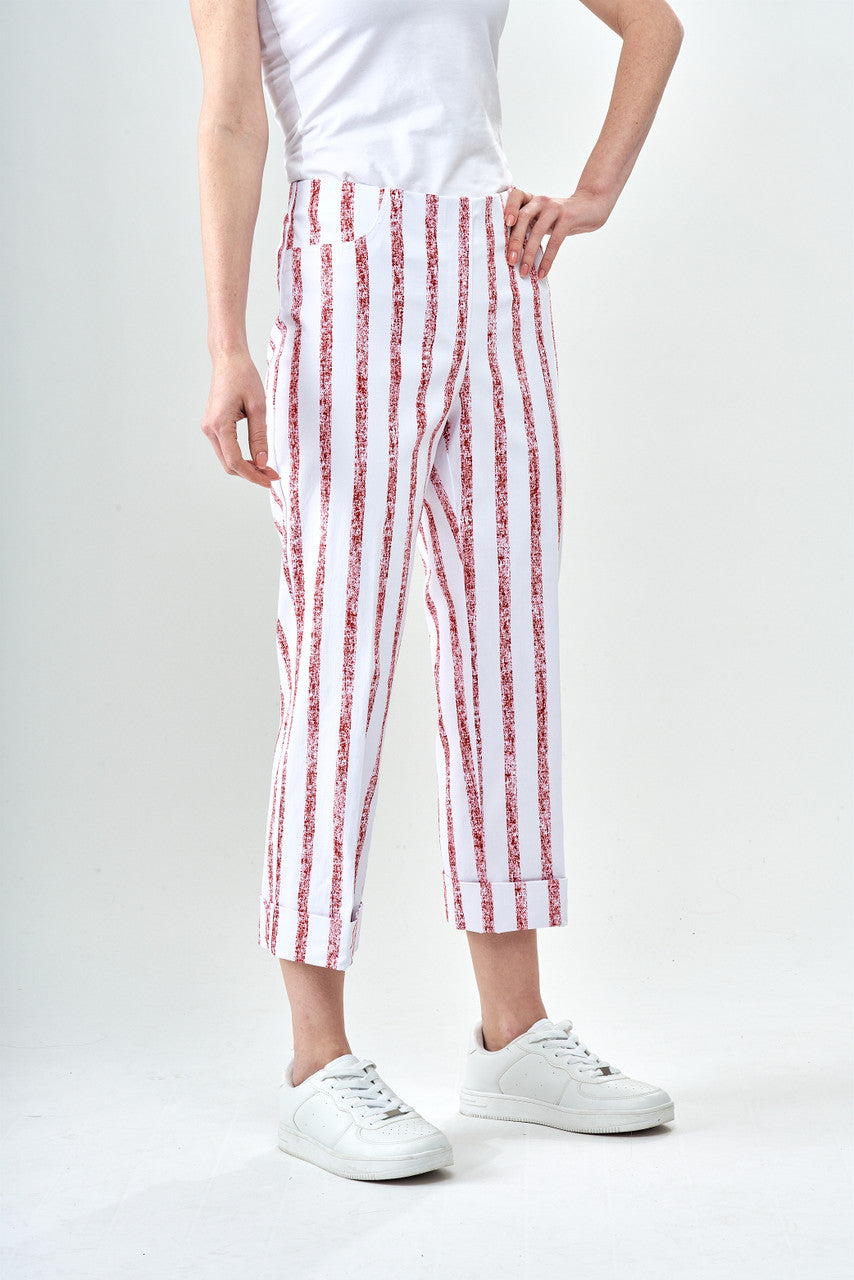PrintedTechnoPantModernAwningRed